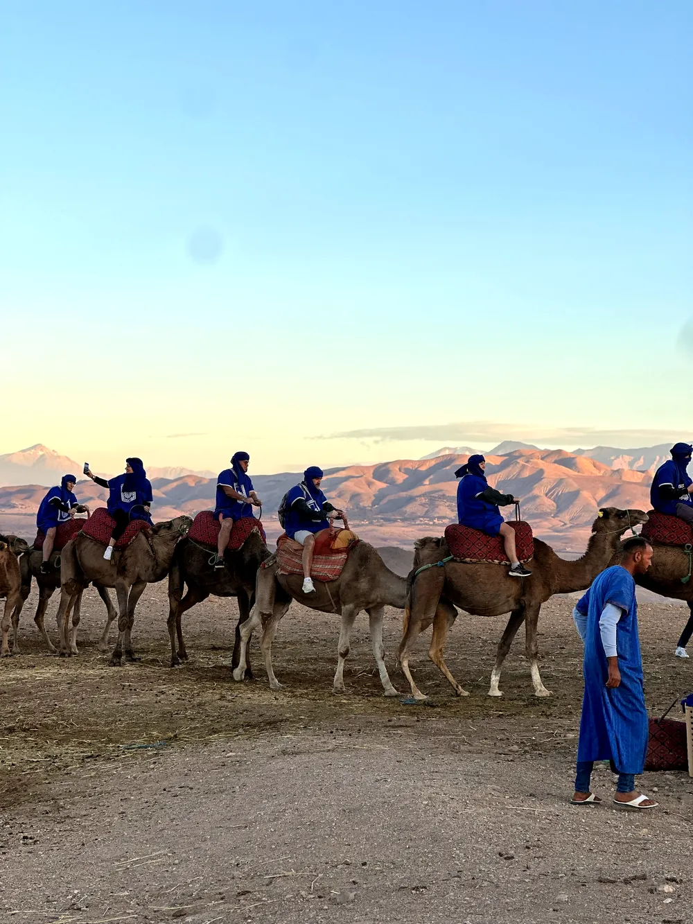 Group camel tour crossing the Agafay desert with Atlas Mountains behind