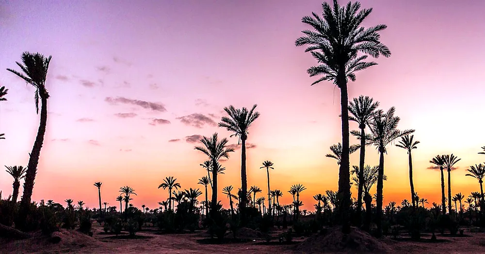 Sunset camel trek near Marrakech