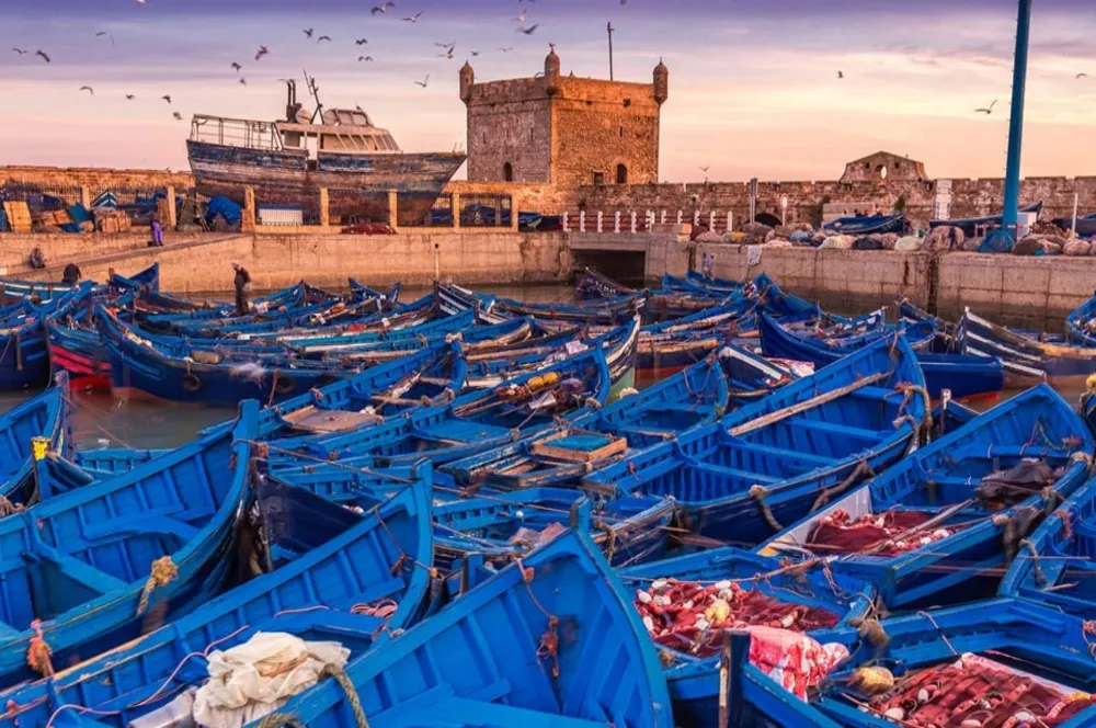 Fresh seafood grilled at the Essaouira port stalls