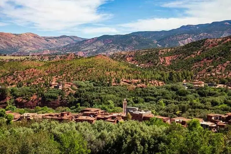 Walnut and olive orchards in the Ouirgane Valley near Marrakech