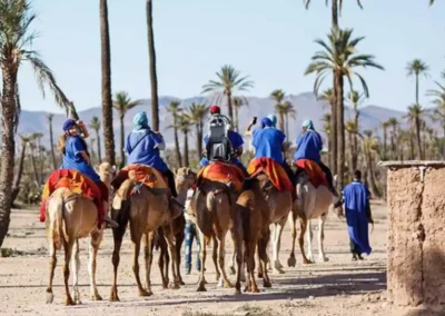 To Discover Marrakech