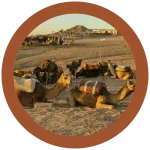 activités adventures